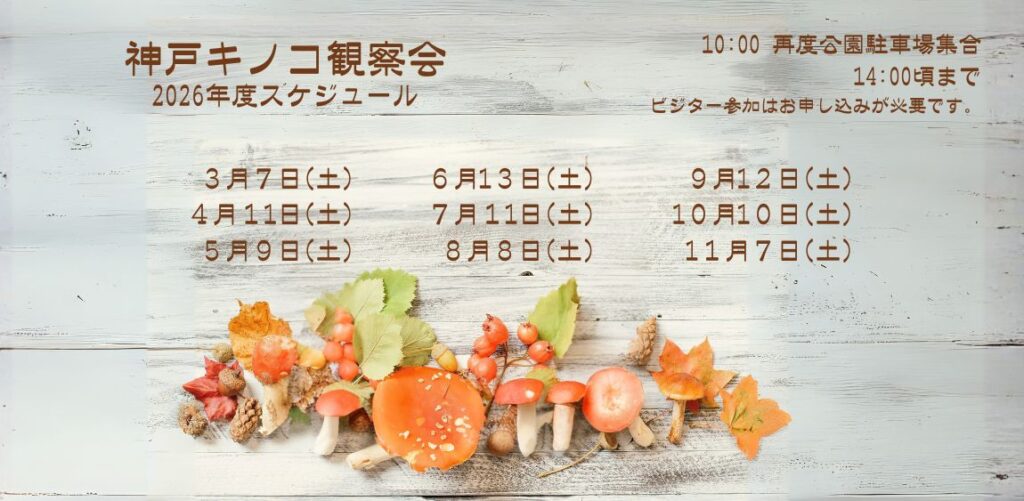 神戸観察会2026年度スケジュール